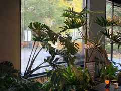 -J Create城市露营咖啡·简餐·宠物(上海动物园店)