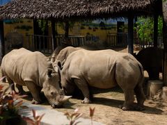 -西安秦岭野生动物园