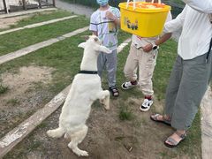 -前小桔亲子创意农场·草莓采摘·露营烧烤