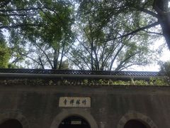 -镇江市南山风景名胜区竹林景区