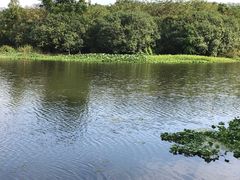 -石湖景区
