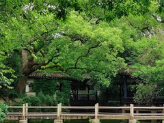 -惠山古镇·寄畅园