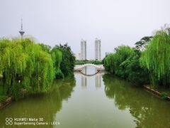 -天津水上公园