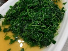 草头-天福苑(崇宁路店)