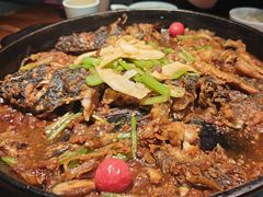 -老板恋上鱼(振华商厦店)