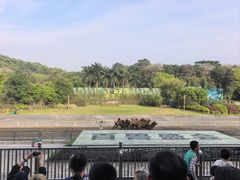 -深圳野生动物园