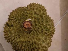 -三亚新鸿港水果一级批发市场