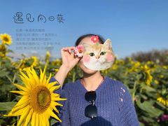 -映月湖中央公园