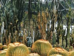 -深圳仙湖植物园