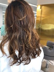 -潘多拉Hairsalon