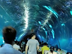 -涛·海底餐厅·美人鱼·自助餐·海底隧道(三亚海棠湾洲际度假酒店)