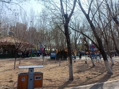 -长白岛森林公园