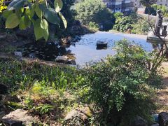 -广州神农草堂中医药博物馆