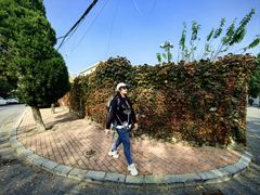 -黑石礁公园