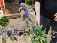 -双季花艺园艺市场(浦东店)