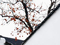 -北寺塔