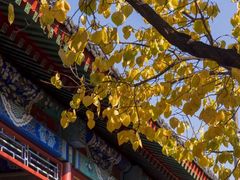 -北京颐和宾馆