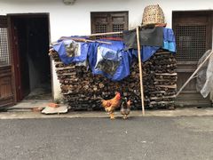 -鹿亭中村