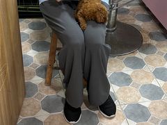 -乐琪宠物医院·犬猫专科·骨外科·急重症