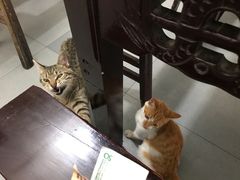 -状元楼(东大街店)