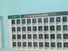 -中加枫华国际学校