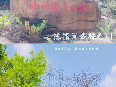 -广州市流溪河国家森林公园