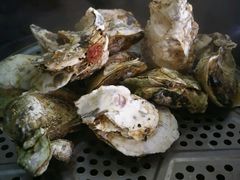 桑拿蚝-蚝专家(北滘店)