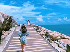 -广东惠东海龟国家级自然保护区