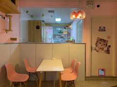 -三花喵·撸猫购宠·宠物生活馆(虹桥南丰城店)