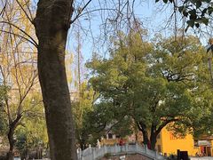 -宝通禅寺
