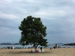-青岛第一海水浴场