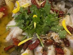 -花溪雨·森林餐厅(石基店)