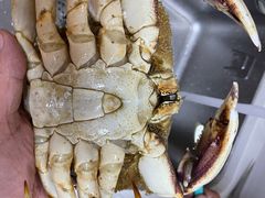 -众彩物流水产市场