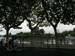 -莱西月湖公园