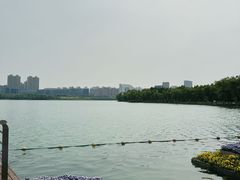 -天鹅湖体育公园