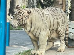 -北京野生动物园