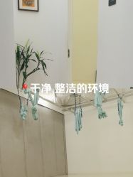 -那·瑜伽&孕产·普拉提·塑身减脂