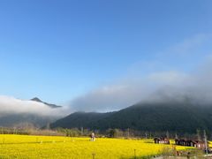-石台牯牛降景区
