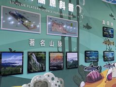 -海合安成都极地海洋公园