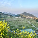 清溪的花田菜地火锅