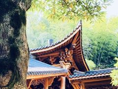 -杭州上天竺法喜讲寺