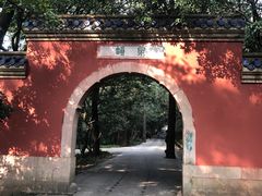 -灵谷景区