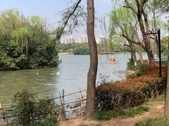-黄兴公园