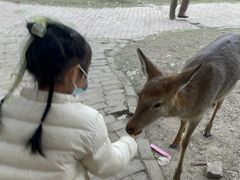 -广东花都香草世界旅游度假区