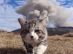 -湘汇概念铁板烧(铁西万达店)