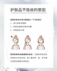 点击看大图 -玛莲朵·海菲秀冰珀科