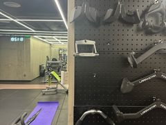 -健身专家Wellness Experts