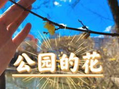 -团结湖公园