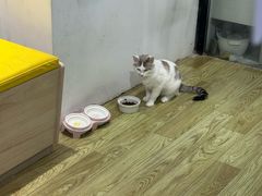 -废柴猫概念馆·桌游电玩卡牌(人广世茂店)