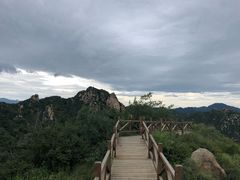 -大岭沟猕猴桃谷风景区